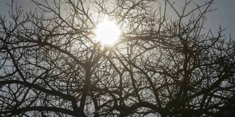 El Niño: agro da Região Centro-Oeste deve antecipar medidas para reduzir efeitos da seca