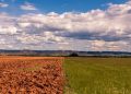 El Niño: plataforma reúne orientações para produtores rurais na safra 2026/2027 El Niño: plataforma reúne orientações para produtores rurais na safra 2026/2027