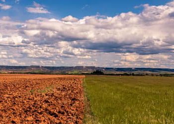 El Niño: plataforma reúne orientações para produtores rurais na safra 2026/2027 El Niño: plataforma reúne orientações para produtores rurais na safra 2026/2027