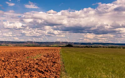 El Niño: plataforma reúne orientações para produtores rurais na safra 2026/2027 El Niño: plataforma reúne orientações para produtores rurais na safra 2026/2027