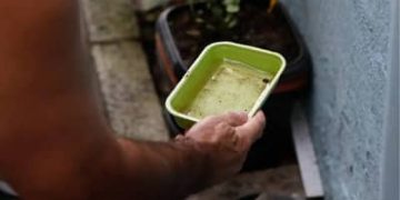 Quase metade dos municípios está em alerta ou risco para presença do Aedes aegypti Quase metade dos municípios está em alerta ou risco para presença do Aedes aegypti